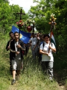 DSCF3191.JPG - SZÍVZARÁNDOKLAT MÁRIABESNYŐRE
