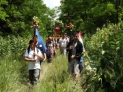 DSCF3193.JPG - SZÍVZARÁNDOKLAT MÁRIABESNYŐRE