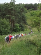 DSCF3292.JPG - SZÍVZARÁNDOKLAT MÁRIABESNYŐRE