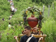 DSCF3301.JPG - SZÍVZARÁNDOKLAT MÁRIABESNYŐRE