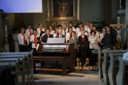 IMG_0100v.jpg - SZÍNES ORGONAAVATÓ KONCERT SZENDEHELYEN
