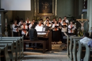 IMG_0062v.jpg - SZÍNES ORGONAAVATÓ KONCERT SZENDEHELYEN