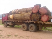 peru_13.JPG - A GRINGÓ, AKINEK SZENT JÓZSEF A PÉNZTÁROSA