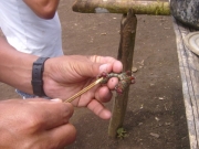 peru_15.JPG - A GRINGÓ, AKINEK SZENT JÓZSEF A PÉNZTÁROSA