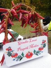 000507-20131010220237-01.jpg - LELKILECSÓ KISTARCSÁN