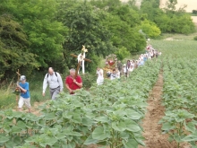 DSCF9578.JPG - SZÍVEK ZARÁNDOKLATA – 2014