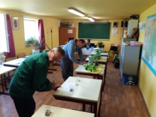 20180414_091052.jpg - SIKERES VIZSGÁVAL ZÁRULTAK A KERTI MUNKÁS KÉPZŐ OKJ TANFOLYAMOK!