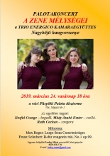 Palotakoncert.jpg - PALOTAKONCERT - A ZENE MÉLYSÉGEI