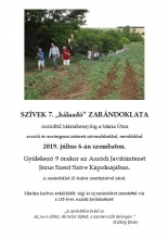 zarr.jpg - SZÍVEK 7. „HÁLAADÓ” ZARÁNDOKLATA