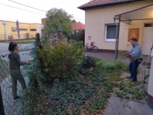 311305837_5239294336198656_2880394893523164339_n.jpg - KÖZEL 9000 FIATAL VÉGZETT ÖNKÉNTES MUNKÁT AZ ELMÚLT HÉTVÉGÉN - 72 ÓRA KOMPROMISSZUM NÉLKÜL