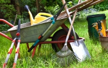 Alkalmi kertész munka